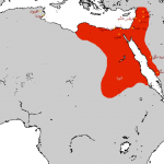 حکومت اخشیدیان (Ikhshīdids Dynasty)