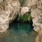 چشمه های طبیعی کرمان ؛ جلوه‌ای زیبا از طبیعت سحرآمیز