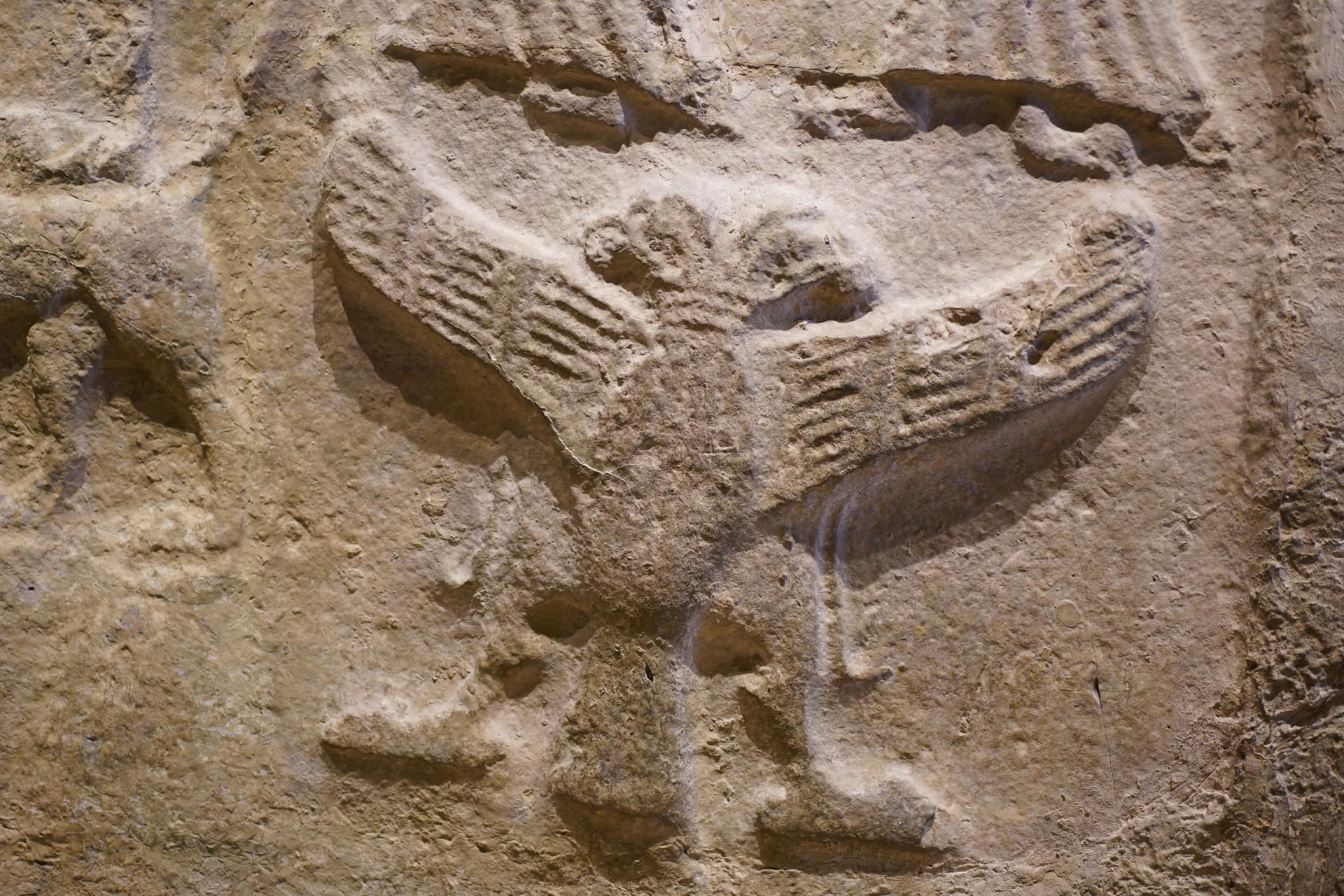 Symbol of the double eagle