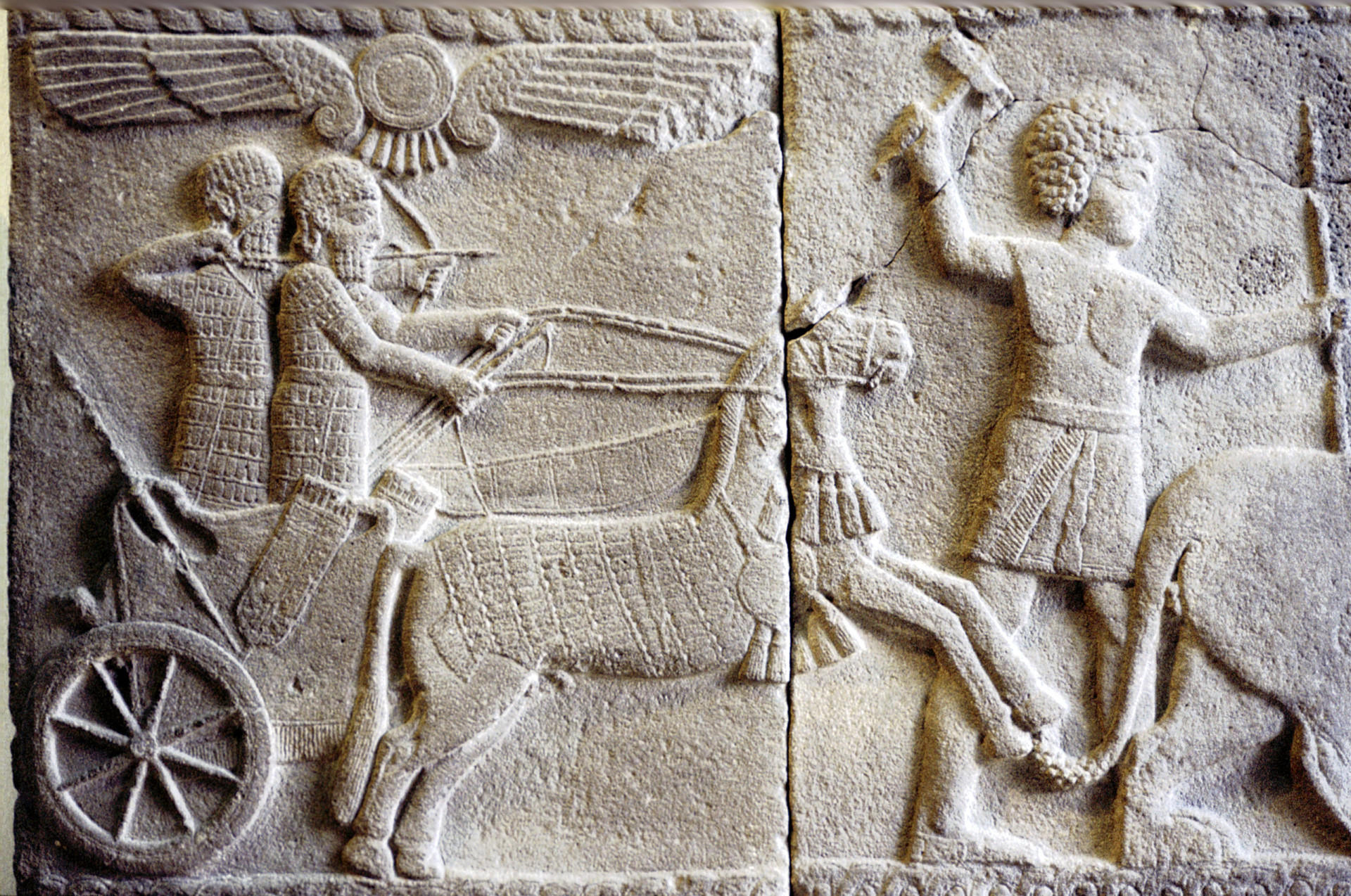 Their mysterious origins