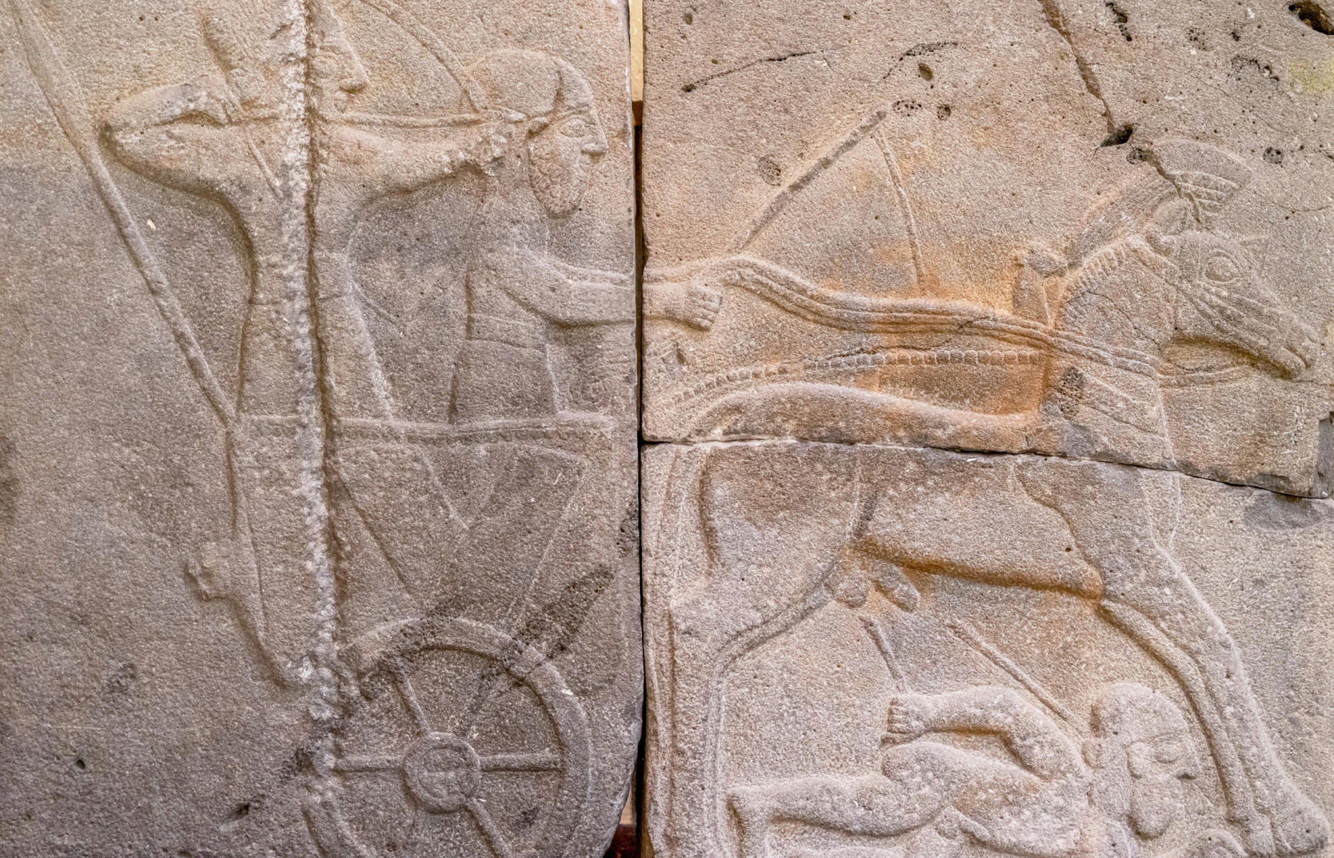 A warrior civilization