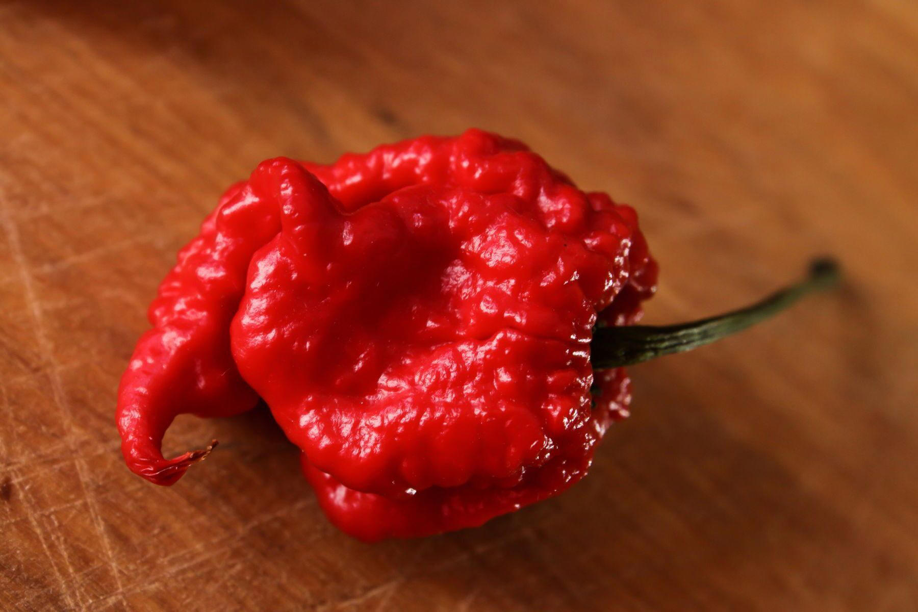 Spiciest bite