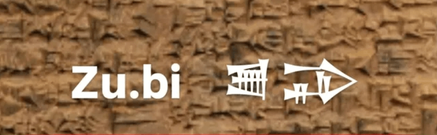 زوبی
