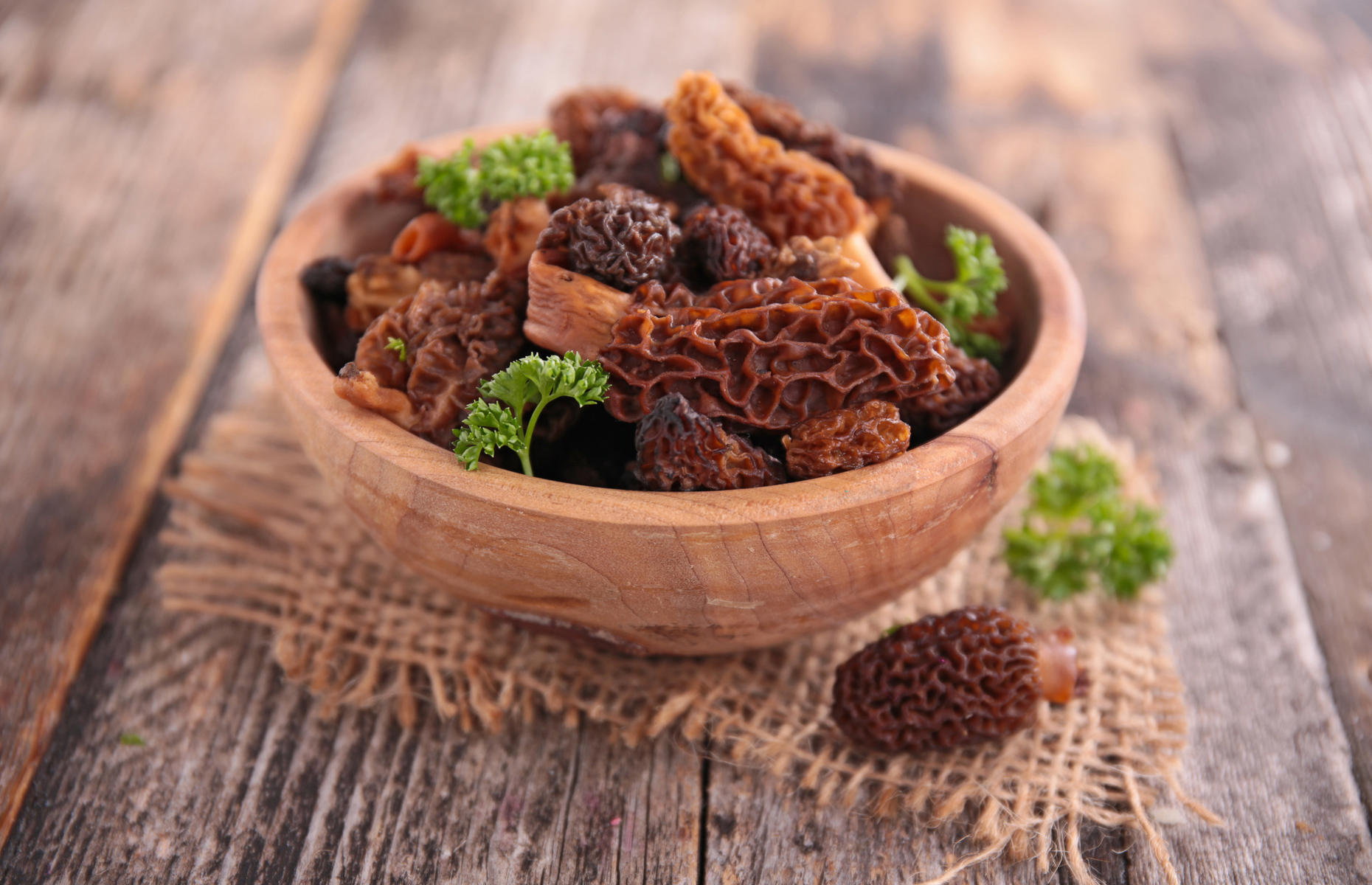 Morel mushrooms