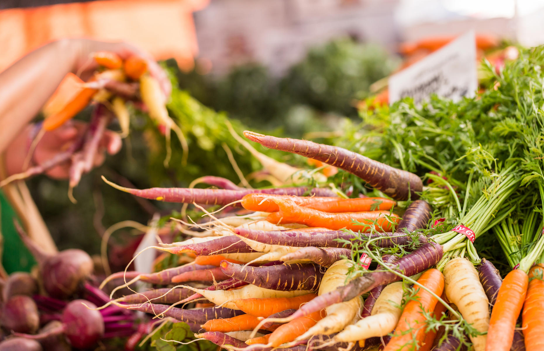 Carrots and parsnips